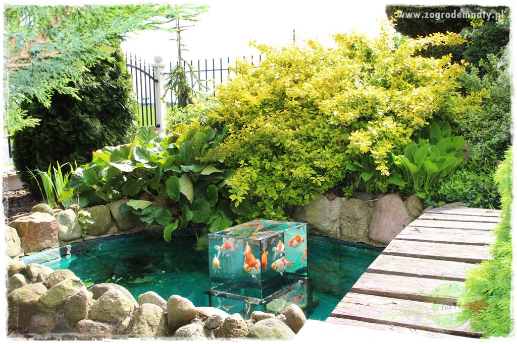 gadżety do ogrodu 58