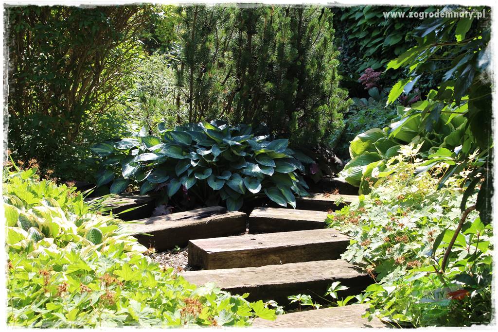 gadżety do ogrodu 60 gadżety do ogrodu 60