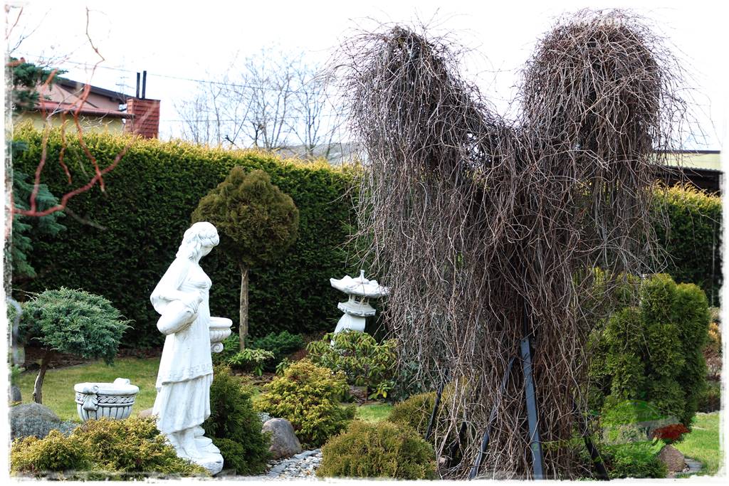 gadżety do ogrodu 62 gadżety do ogrodu 62