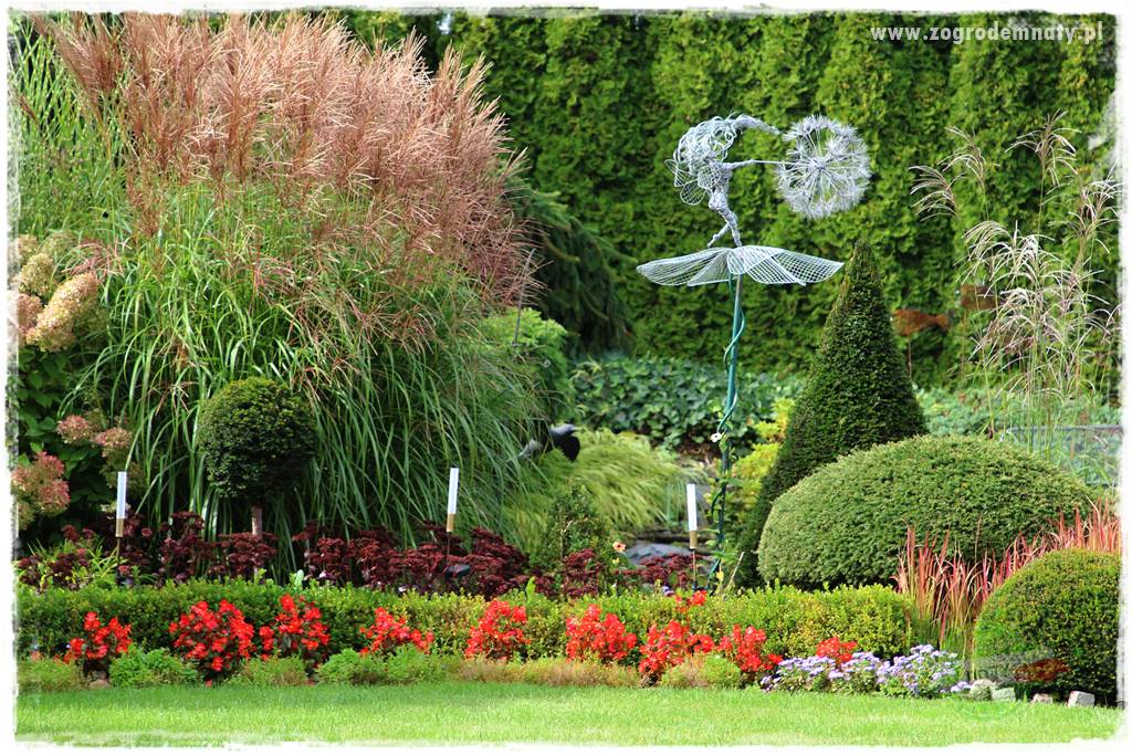 piękne trawy ozdobne 15 piękne trawy ozdobne 15