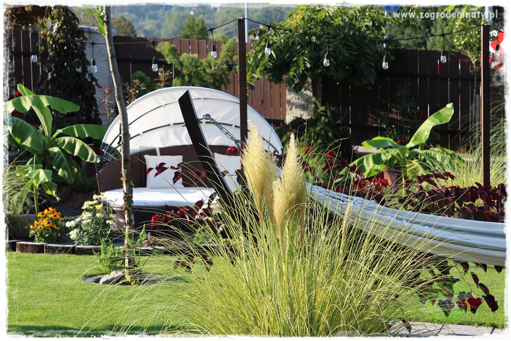 piękne trawy ozdobne 26 piękne trawy ozdobne 26