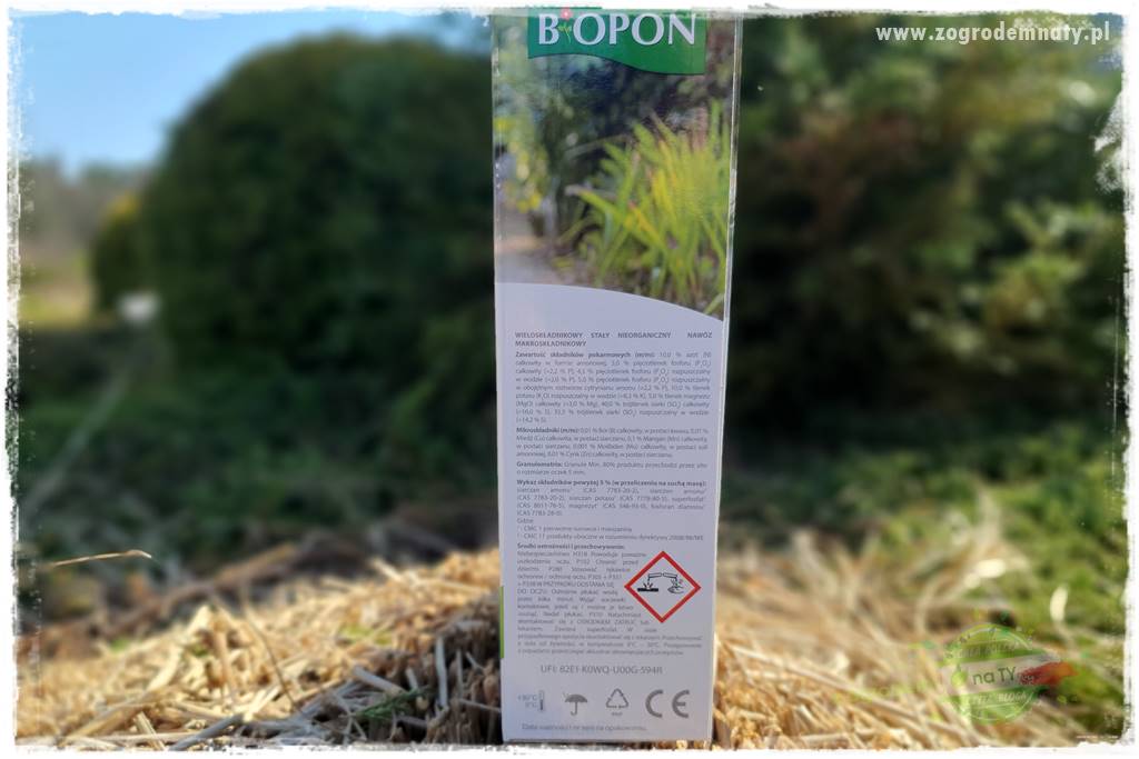 piękne trawy ozdobne 33