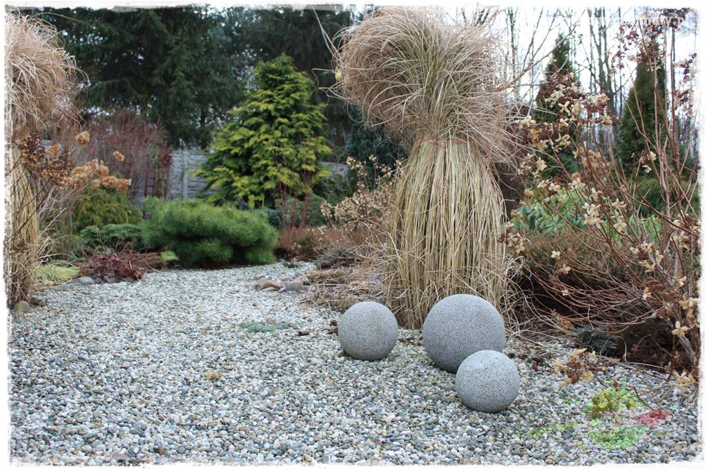 piękne trawy ozdobne 45 piękne trawy ozdobne 45