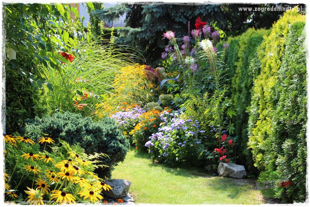 tani ogród 1 tani ogród 1