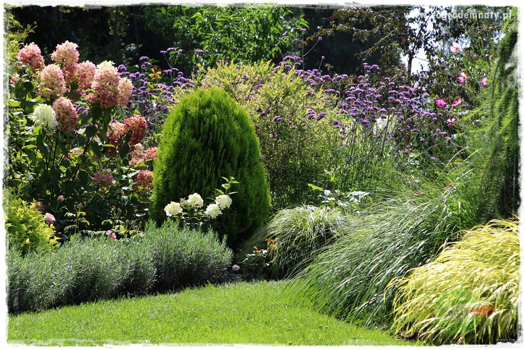 tani ogród 2 tani ogród 2