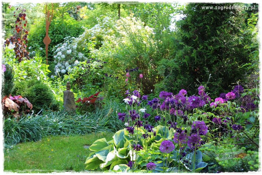 tani ogród 22 tani ogród 22