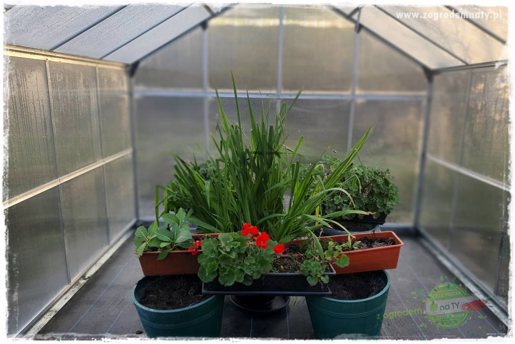 tani ogród 25 tani ogród 25