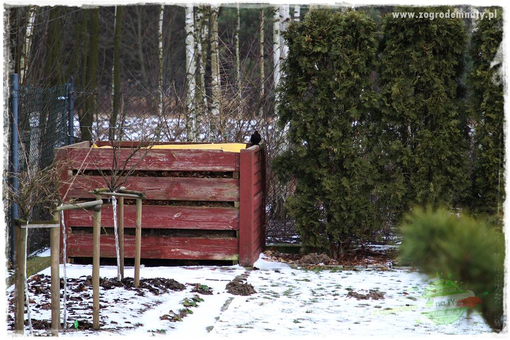 tani ogród 29 tani ogród 29