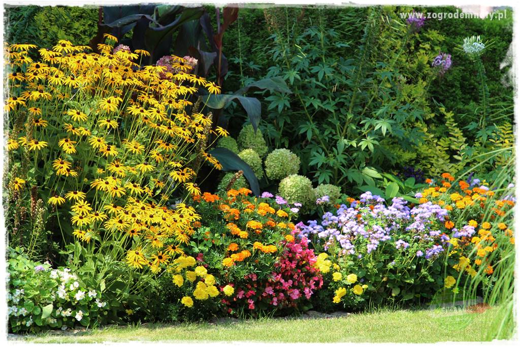 tani ogród 3 tani ogród 3