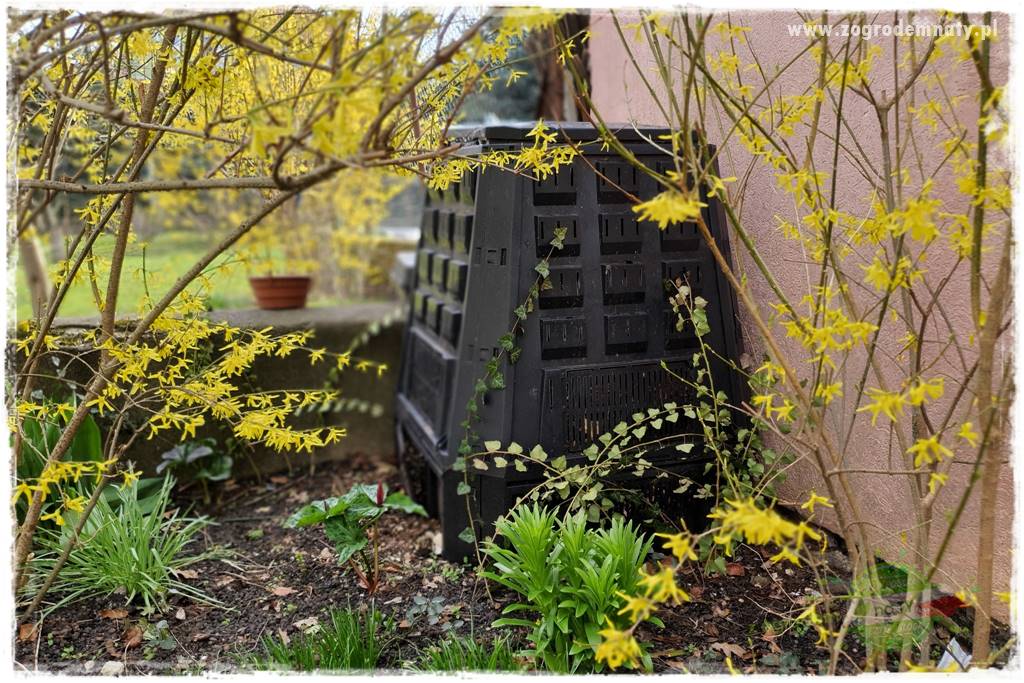 tani ogród 30 tani ogród 30