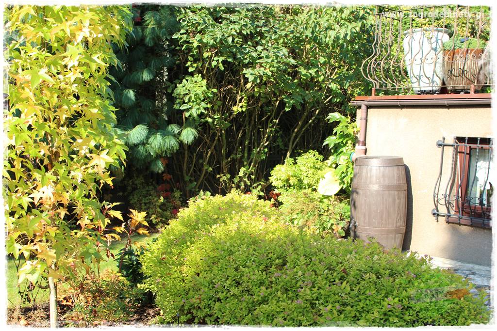 tani ogród 33 tani ogród 33