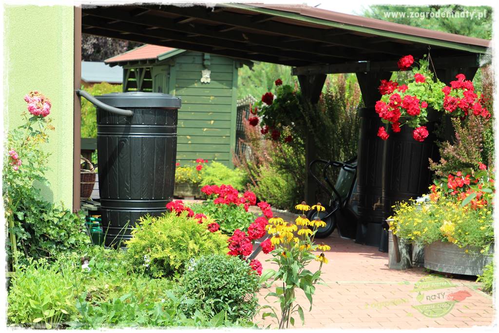 tani ogród 34 tani ogród 34