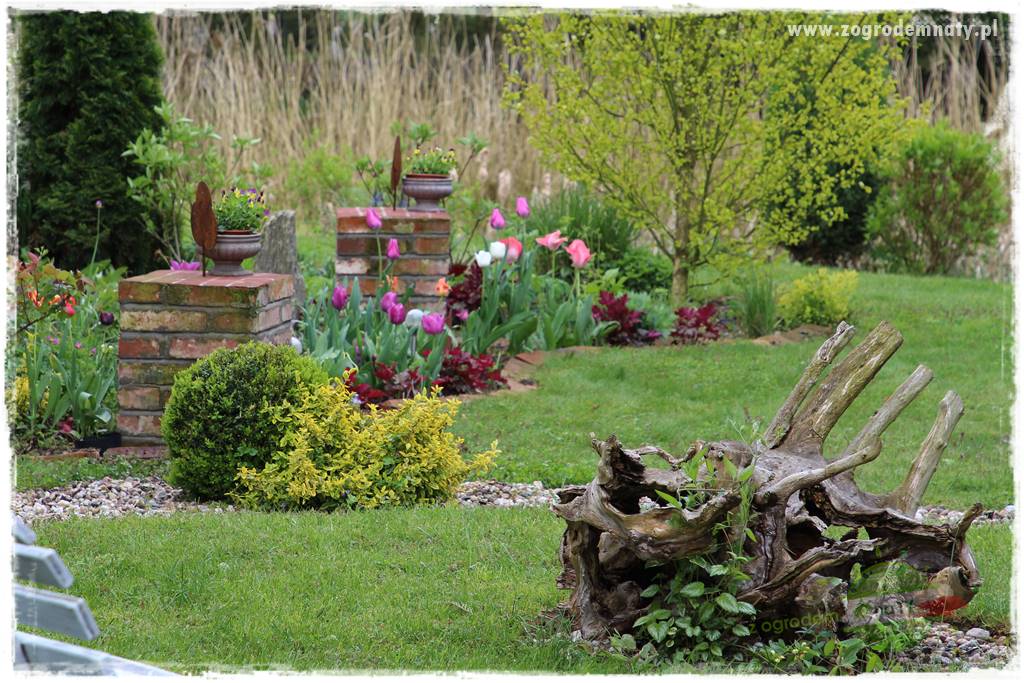 tani ogród 36 tani ogród 36