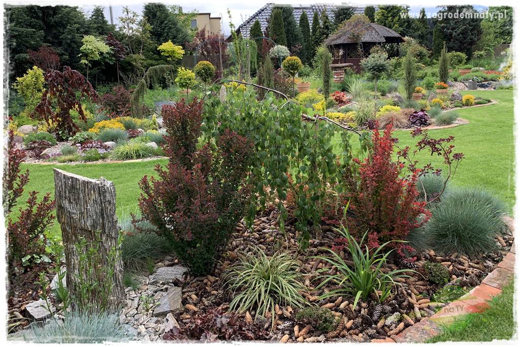 tani ogród 38 tani ogród 38