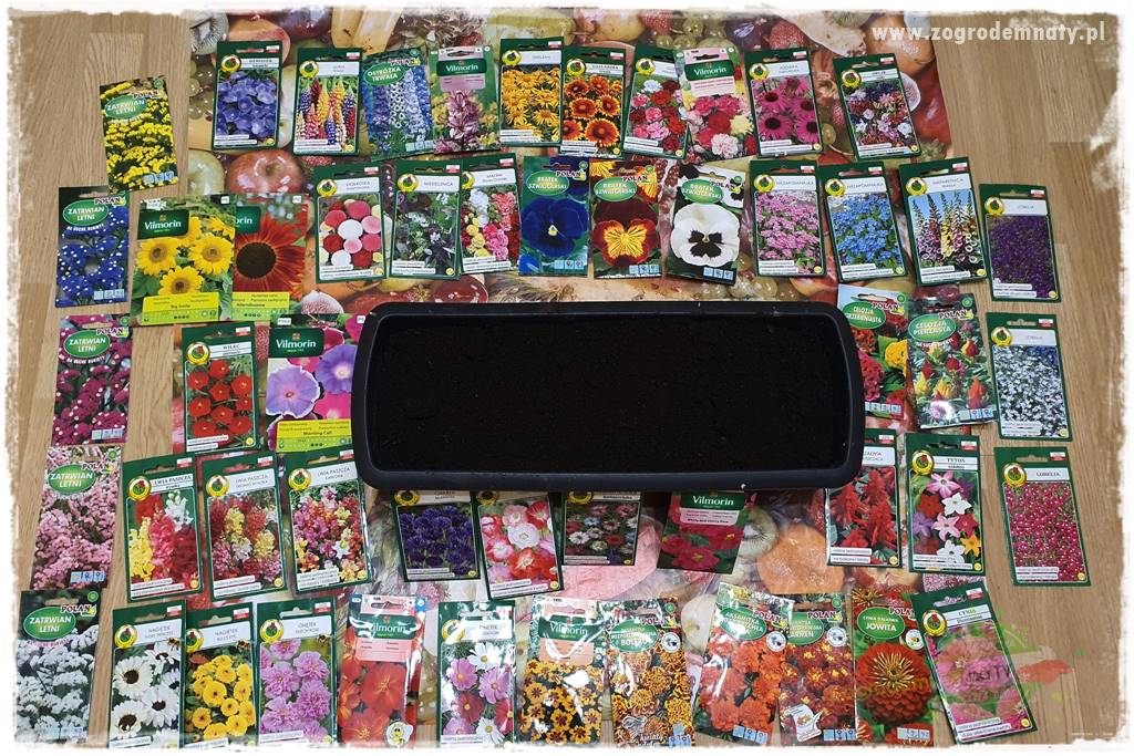 tani ogród 3e tani ogród 3e