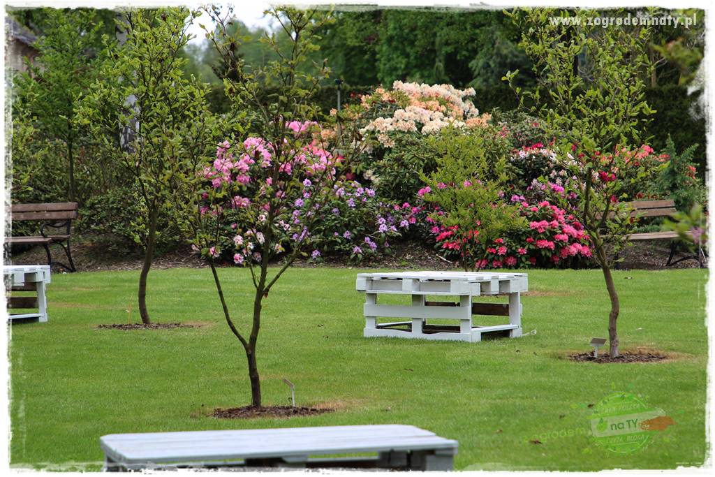 tani ogród 41 tani ogród 41