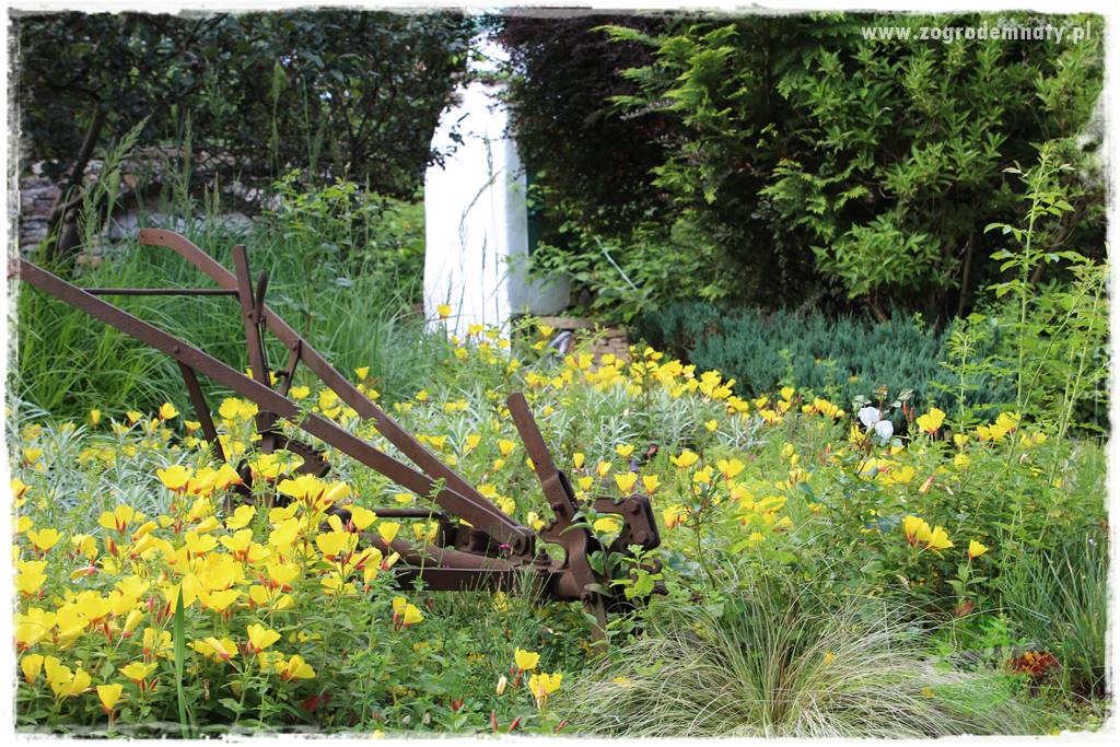 tani ogród 42 tani ogród 42