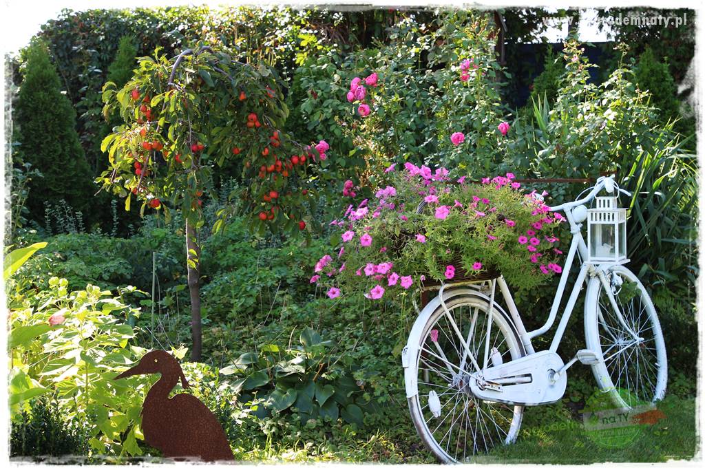 tani ogród 43 tani ogród 43