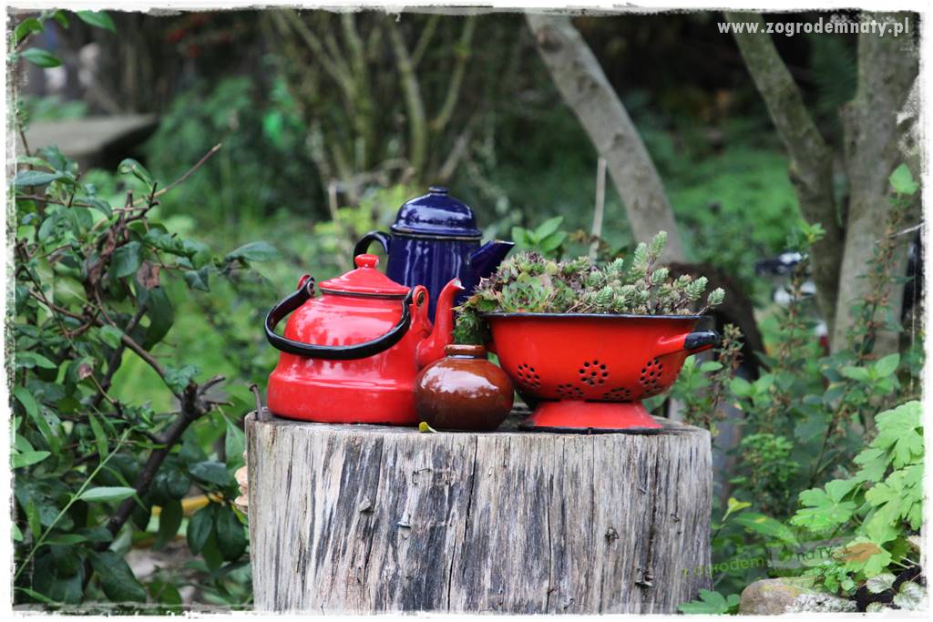 tani ogród 45 tani ogród 45