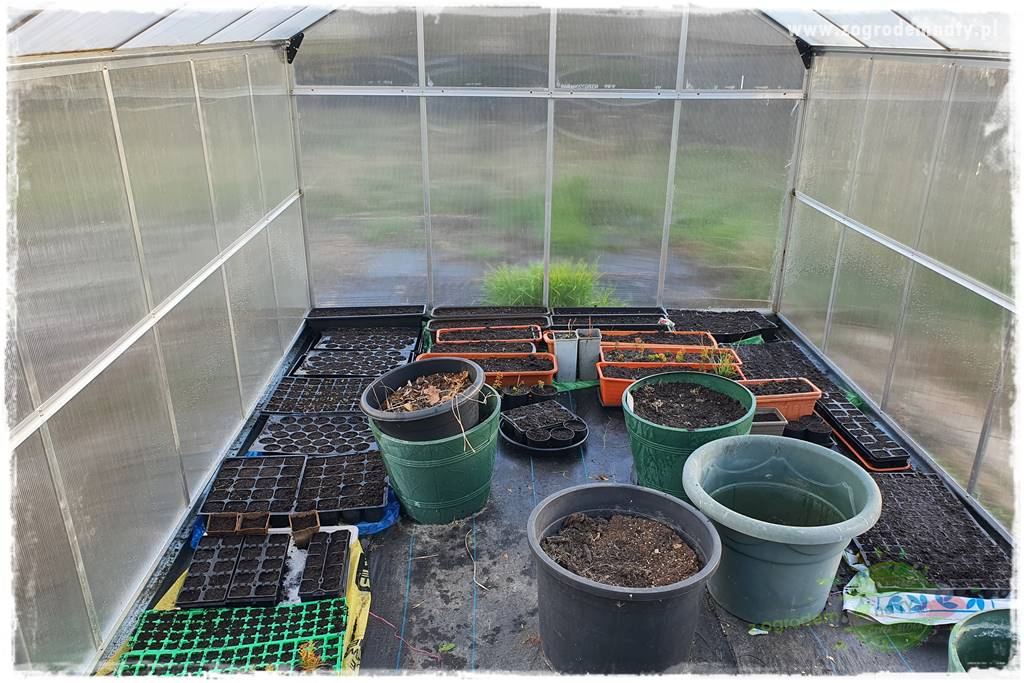 tani ogród 4aa tani ogród 4aa