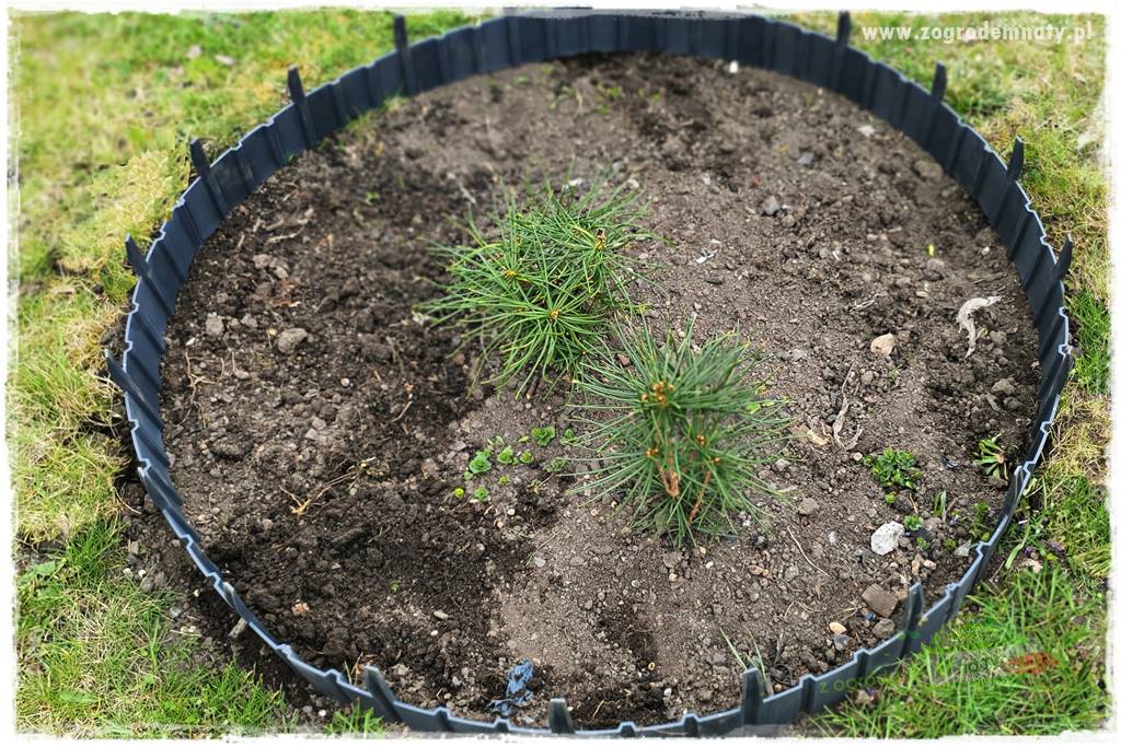 tanie obrzeża trawnikowe 20