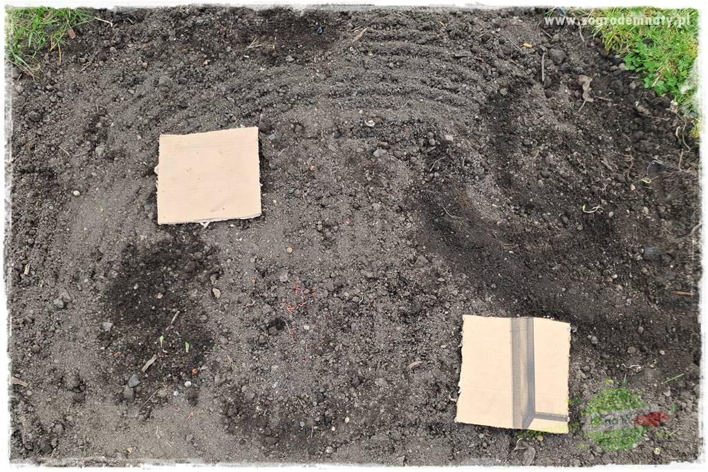 tanie obrzeża trawnikowe 24 tanie obrzeża trawnikowe 24