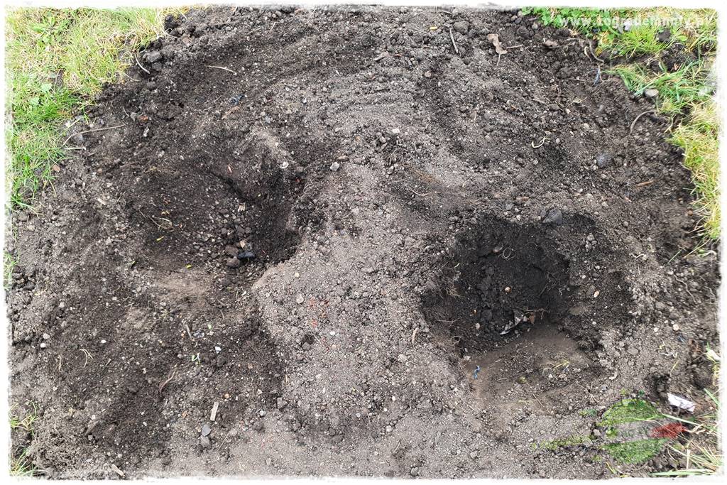 tanie obrzeża trawnikowe 25 tanie obrzeża trawnikowe 25