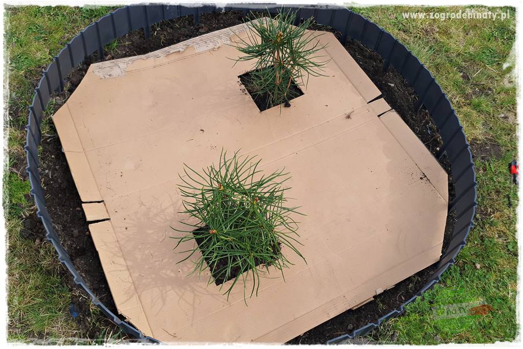 tanie obrzeża trawnikowe 31 tanie obrzeża trawnikowe 31