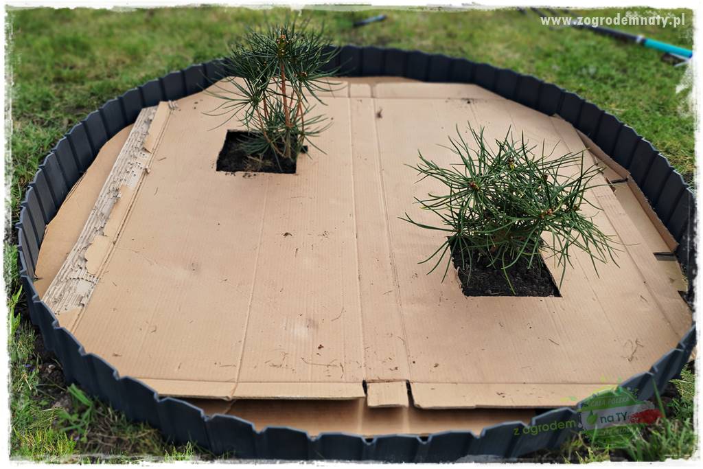 tanie obrzeża trawnikowe 32 tanie obrzeża trawnikowe 32