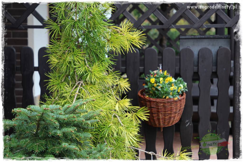 tanie obrzeża trawnikowe 4