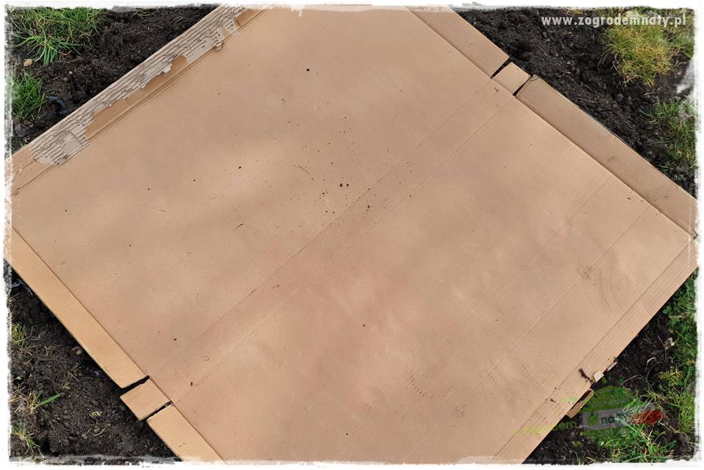 tanie obrzeża trawnikowe 8