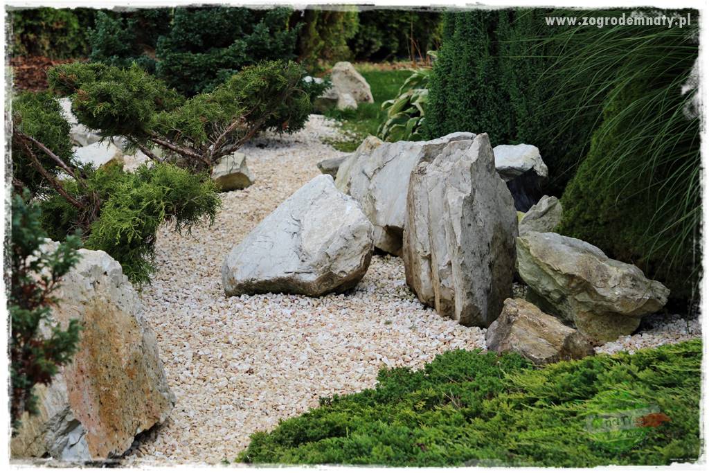 Agrotkanina w ogrodzie 10