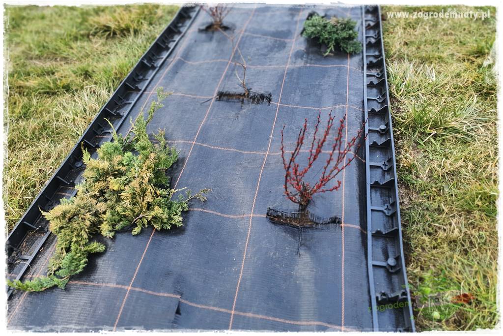 Agrotkanina w ogrodzie 11