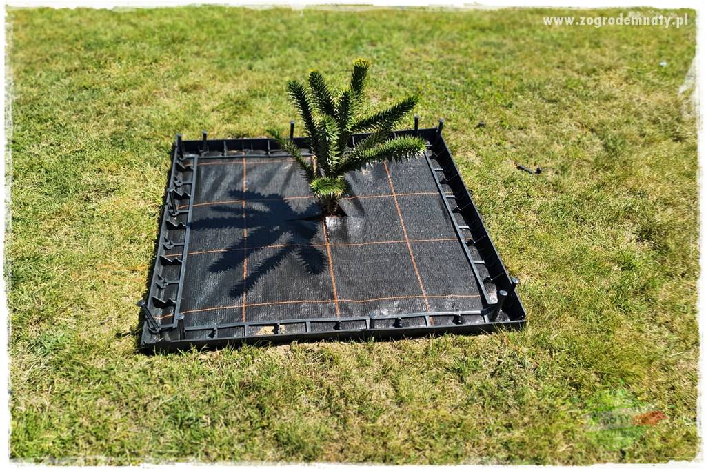 Agrotkanina w ogrodzie 12 Agrotkanina w ogrodzie 12