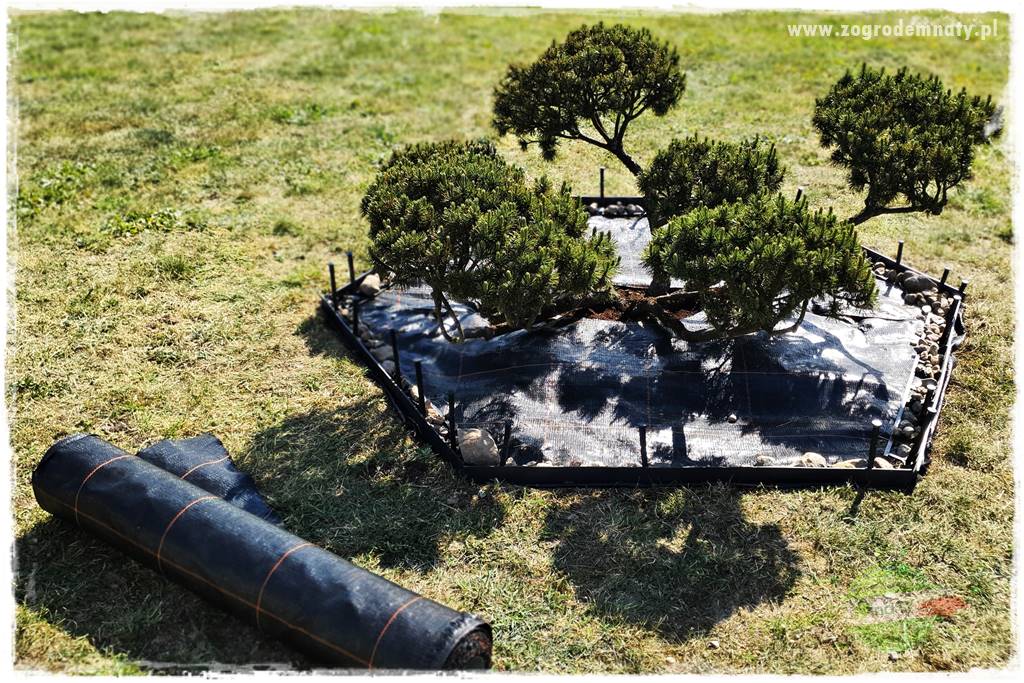 Agrotkanina w ogrodzie 13