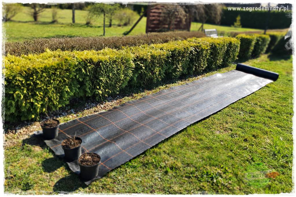 Agrotkanina w ogrodzie 17