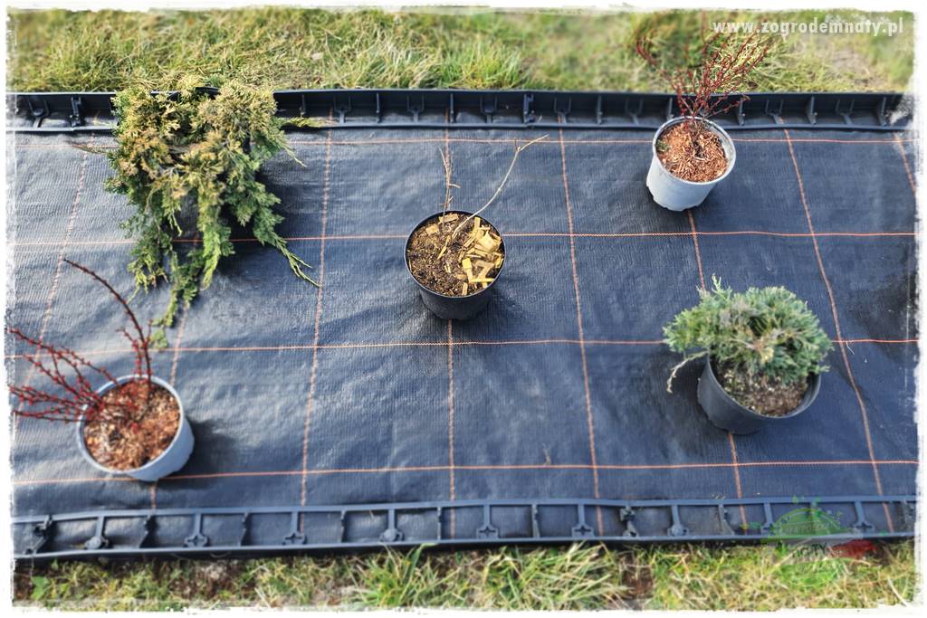 Agrotkanina w ogrodzie 19 Agrotkanina w ogrodzie 19