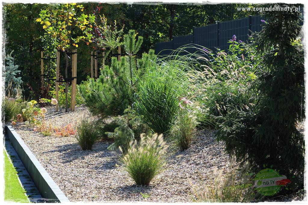 Agrotkanina w ogrodzie 23