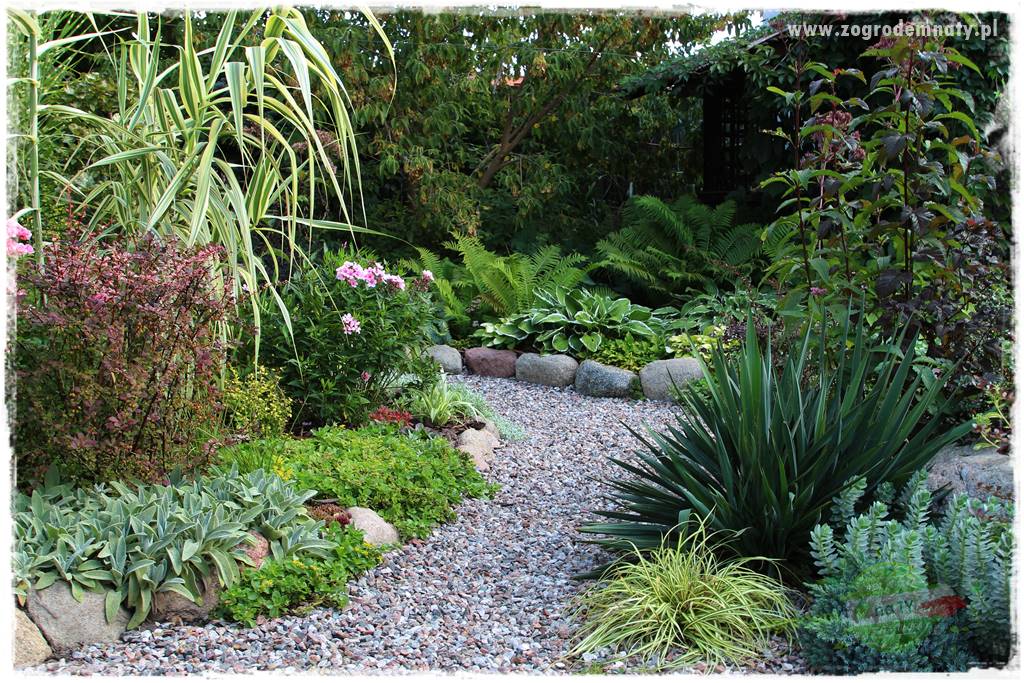 Agrotkanina w ogrodzie 25 Agrotkanina w ogrodzie 25