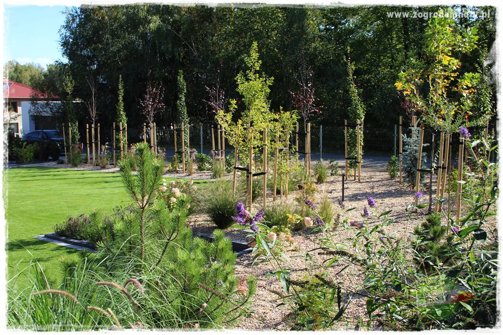 Agrotkanina w ogrodzie 26