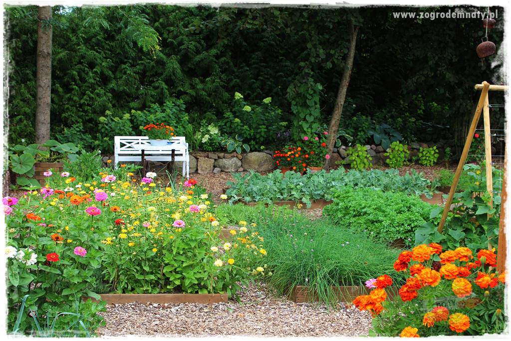 Agrotkanina w ogrodzie 29 Agrotkanina w ogrodzie 29