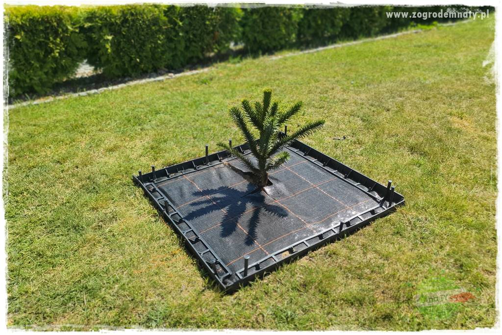 Agrotkanina w ogrodzie 3 Agrotkanina w ogrodzie 3
