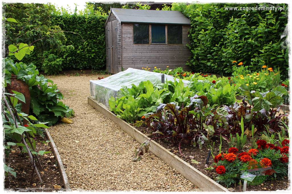 Agrotkanina w ogrodzie 30 Agrotkanina w ogrodzie 30