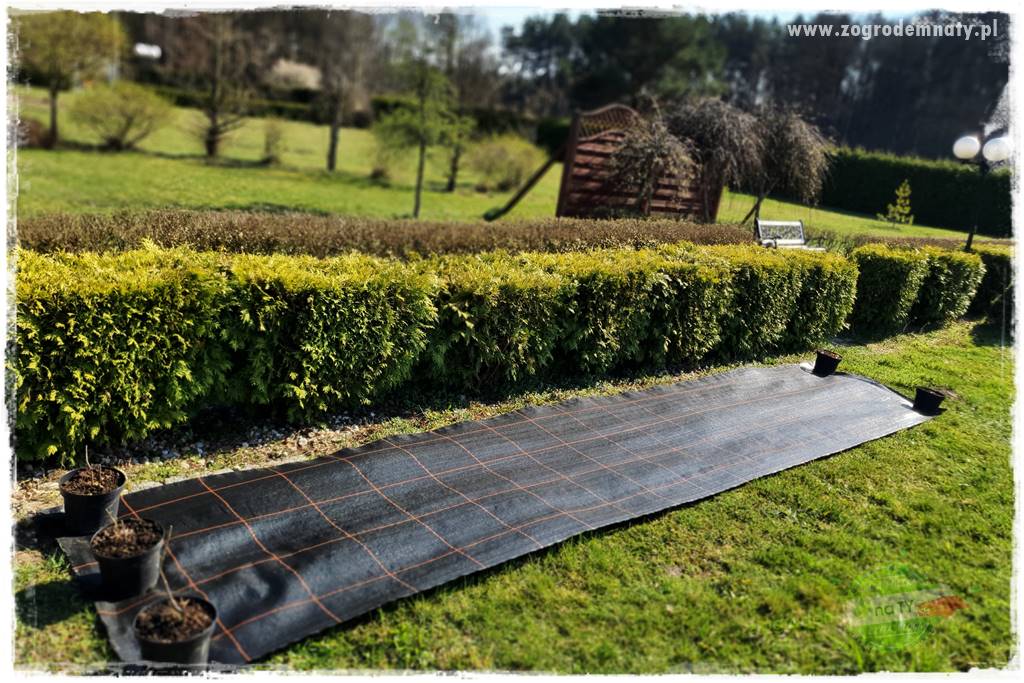 Agrotkanina w ogrodzie 33 Agrotkanina w ogrodzie 33