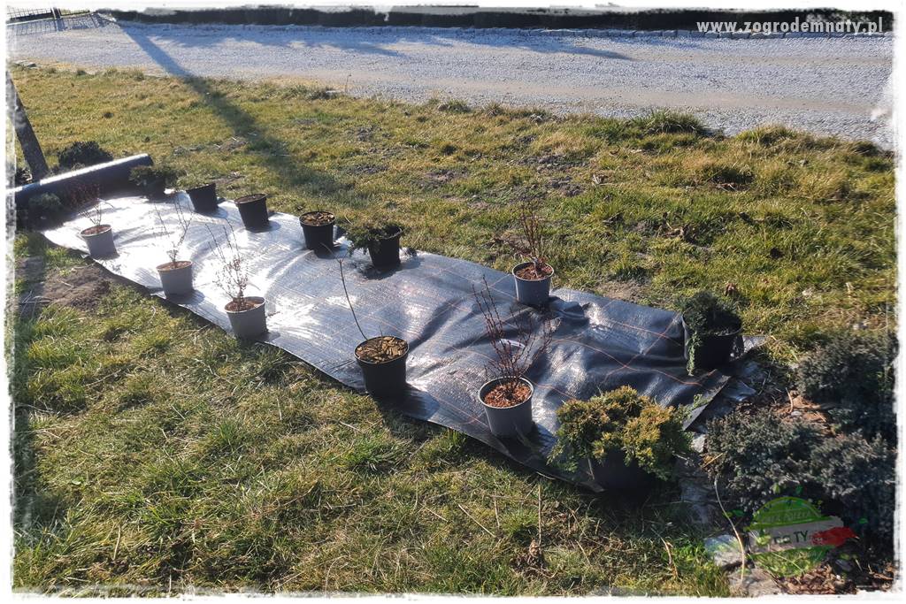 Agrotkanina w ogrodzie 34 Agrotkanina w ogrodzie 34