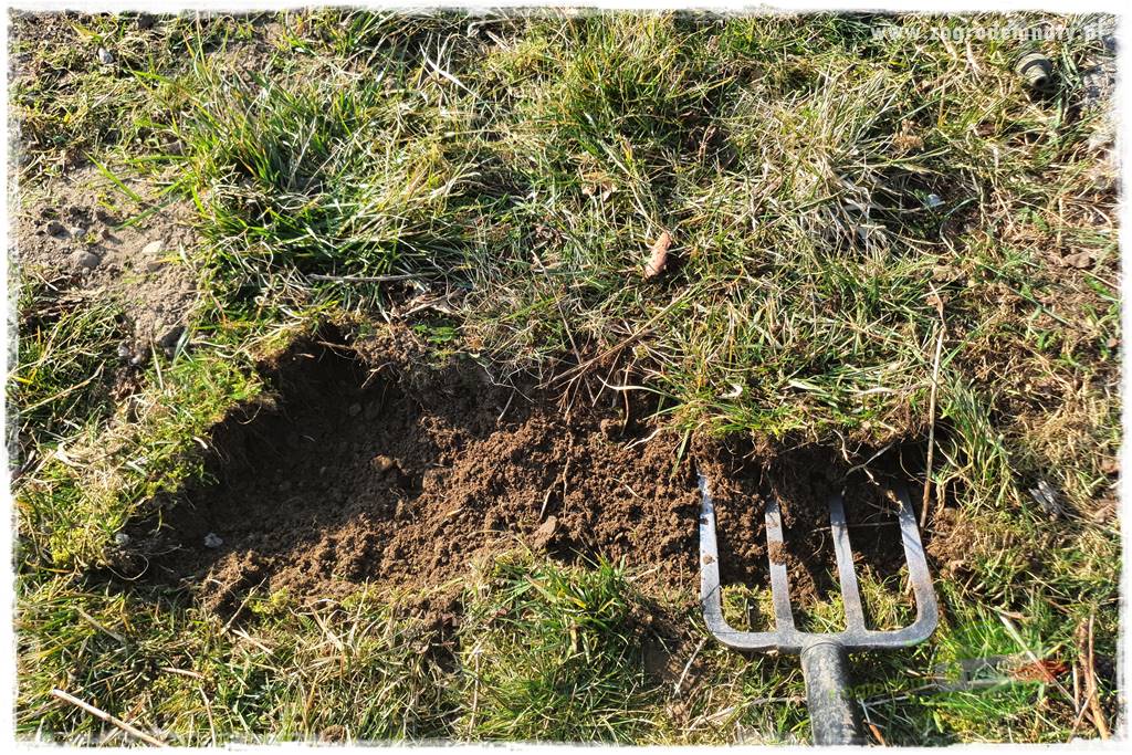 Agrotkanina w ogrodzie 36 Agrotkanina w ogrodzie 36