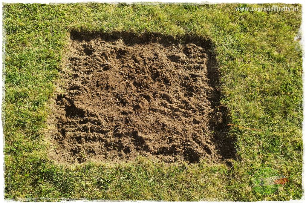 Agrotkanina w ogrodzie 37 Agrotkanina w ogrodzie 37