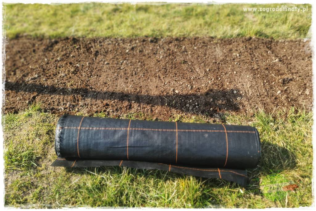 Agrotkanina w ogrodzie 38