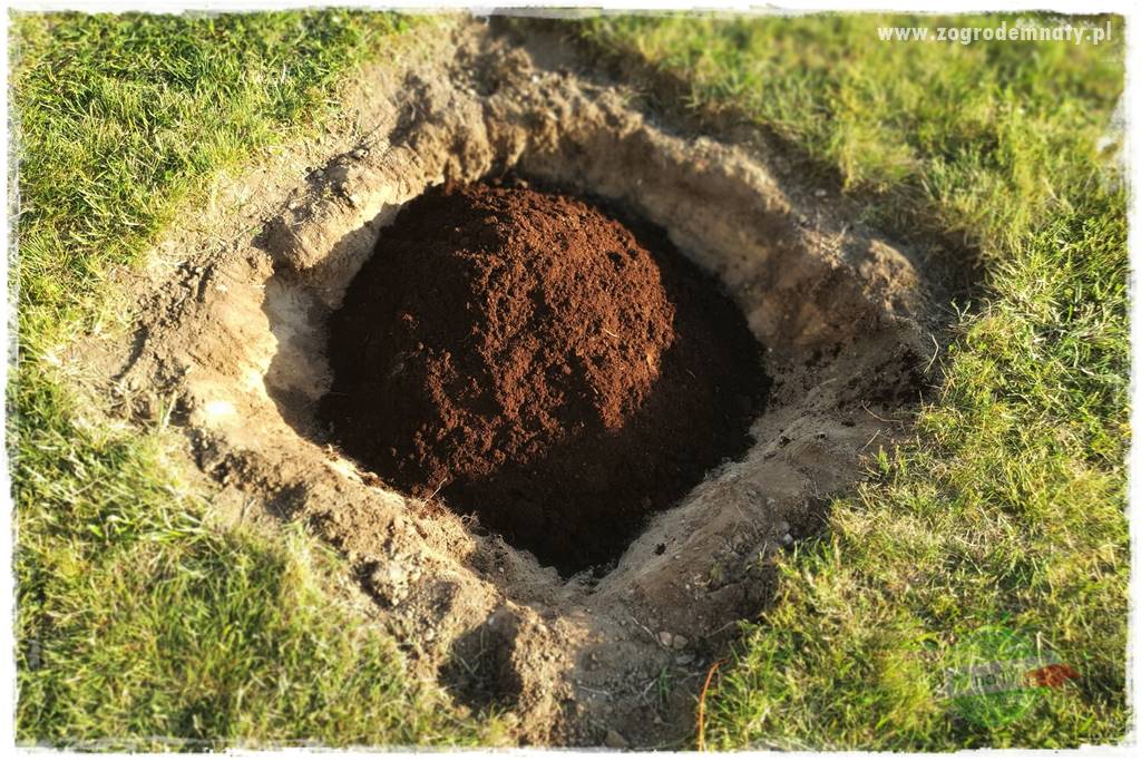 Agrotkanina w ogrodzie 39 Agrotkanina w ogrodzie 39