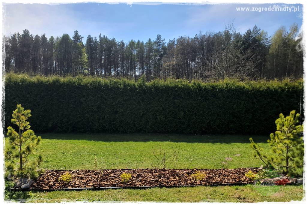 Agrotkanina w ogrodzie 44 Agrotkanina w ogrodzie 44